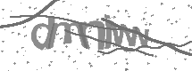 visual captcha